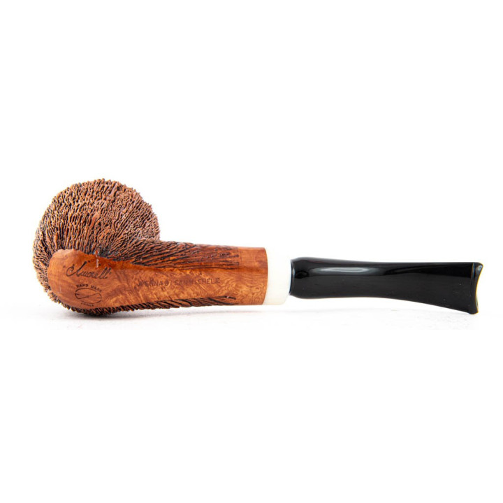 Pipa Amorelli Penna San Michele Bent Dublin