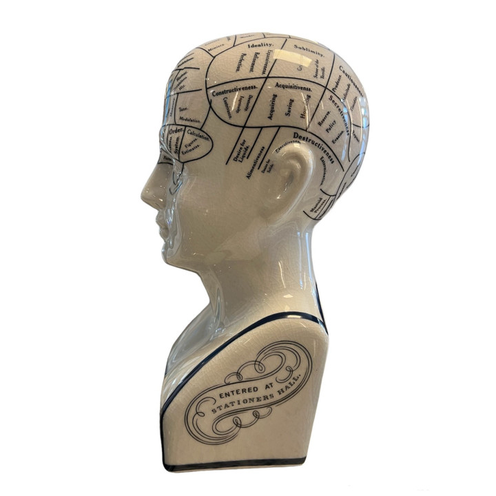 Authentic Models -  Pherenology Head Small
