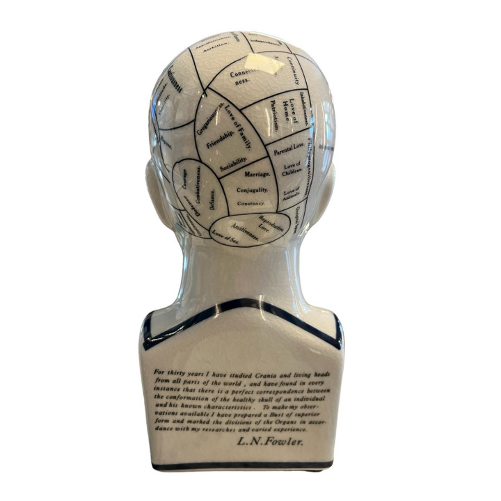 Authentic Models - Phrenology Testa Large