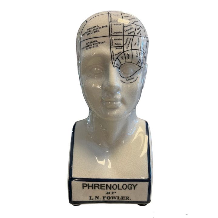 Authentic Models - Phrenology Testa Large