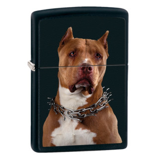 Lighter Zippo Pit bull