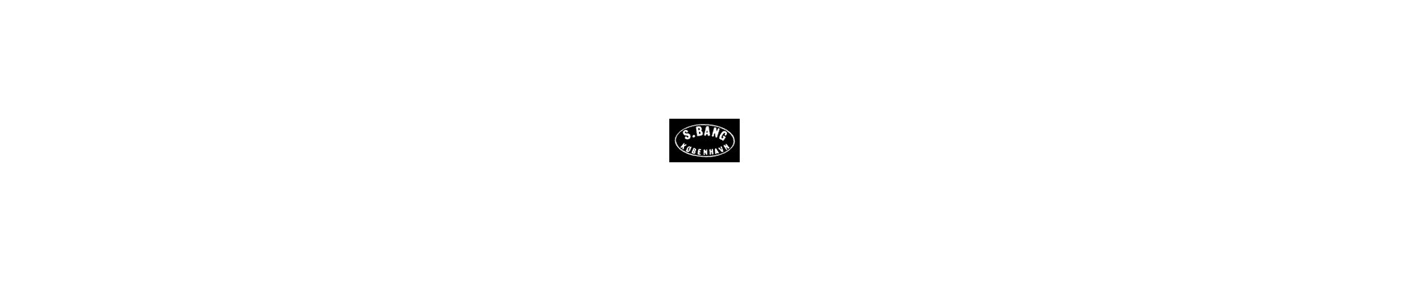 S. Bang